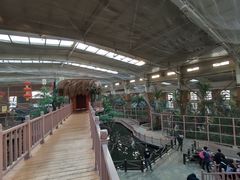 -南宫五洲植物乐园