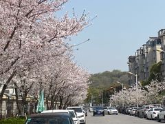 -永乐路-路侧停车场