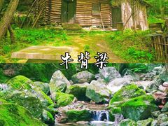 -牛背梁国家森林公园