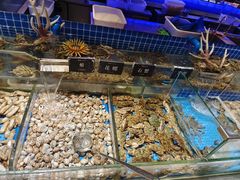 -加餐海鲜自助餐厅(福清万达店)