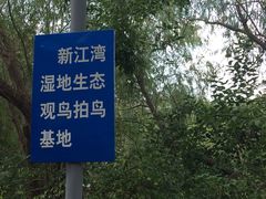 -新江湾城公园
