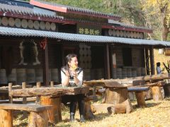 -千年银杏谷文化旅游区