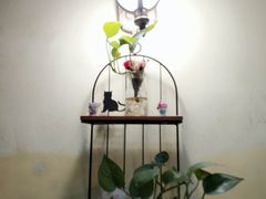 -猫色咖啡·猫咖