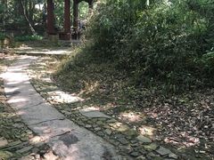 -西湖风景区十里琅珰-五云山