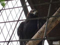 -新疆天山野生动物园