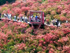 -瑞安圣井山景区