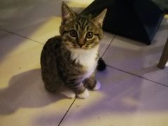 -平行世界·猫咖(首经贸店)