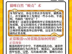 -福懋动物医院·犬猫全科·外科·重症科(杏林分院)