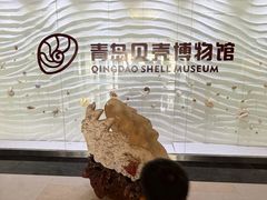 -青岛贝壳博物馆