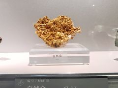 -中国地质博物馆