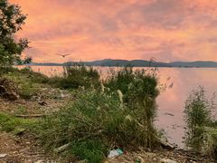 -上海市保健医疗中心