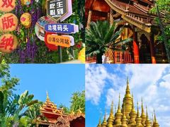 -西双版纳原始森林公园