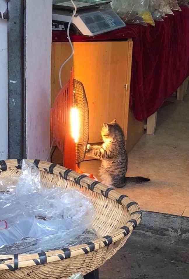 有茗塘鱼馆(华阳店)-"一共去吃了两次. 开业第一天的下午就去.