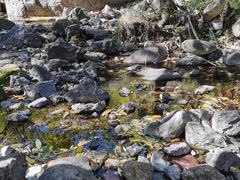 -云岫谷游猎自然风景区