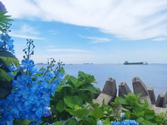 -上海滨江森林公园