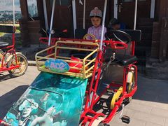 -永定河休闲森林公园