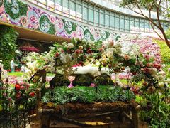 -花之城