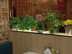 -雅酌园·烟火南京菜(颐和路店)