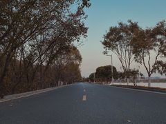 -羊山湖公园