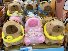 -大润发(康桥店)