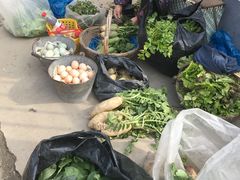 -小鱼草莓采摘园农家乐·小鱼餐厅