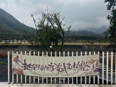 -中国宣纸文化园