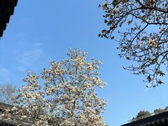 -聚汇三少·龙虾·中餐厅(莫邪路新天地店)