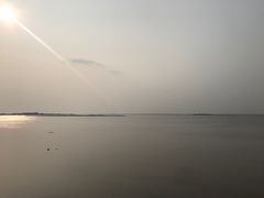 -白渔泡湿地公园