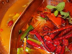 -滇牛云南火锅(桂林路店)