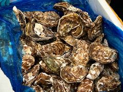 -千岛蚝高压锅生蚝·人参火锅(白云万达店)