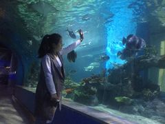 -苏州海洋馆