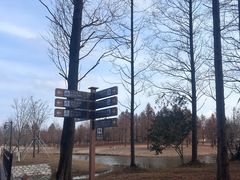 -黄海国家森林公园