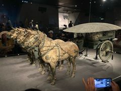 -秦始皇帝陵博物院-丽山园