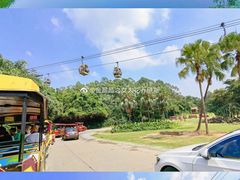 -广州长隆野生动物世界