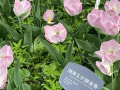 -国家植物园