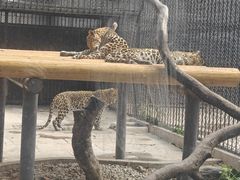 -深圳野生动物园