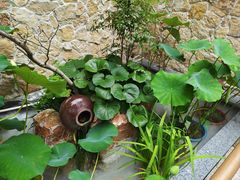 -食为先庐畔渔歌(合作化路店)
