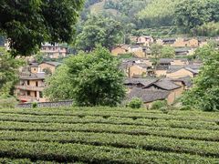-杨家堂村