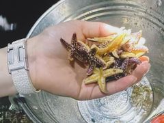 -巧克力渔家.小船海鲜胶东菜(万平口店)