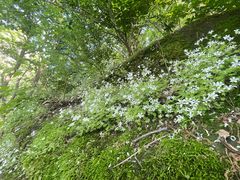 -终南山南五台景区
