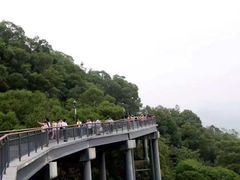 -金鸡山公园