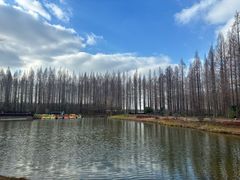 -黄海国家森林公园