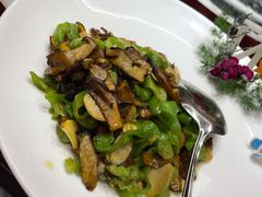 青椒炒牛肝菌-蔼若春.传承三十年云南菜(金碧公园店)
