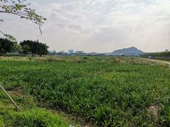 -光明小镇欢乐田园