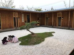 -午后庭院