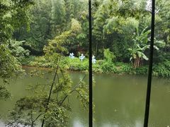-蜀南竹海景区