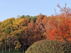-杭州城北体育公园
