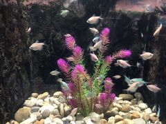 -苏州海洋馆