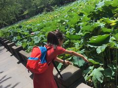 -四川大学(华西校区)