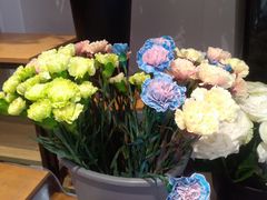 -沪花拾者(好再来花卉鲜花店)